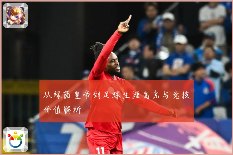 从绿茵皇帝到足球生涯高光与竞技价值解析