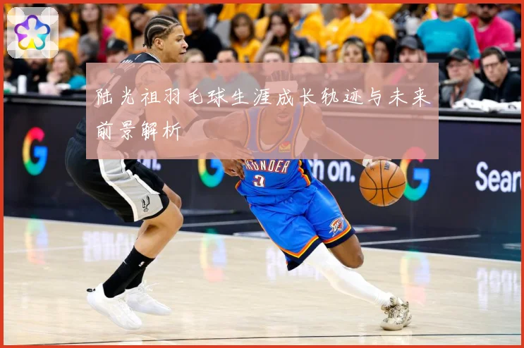 陆光祖羽毛球生涯成长轨迹与未来前景解析