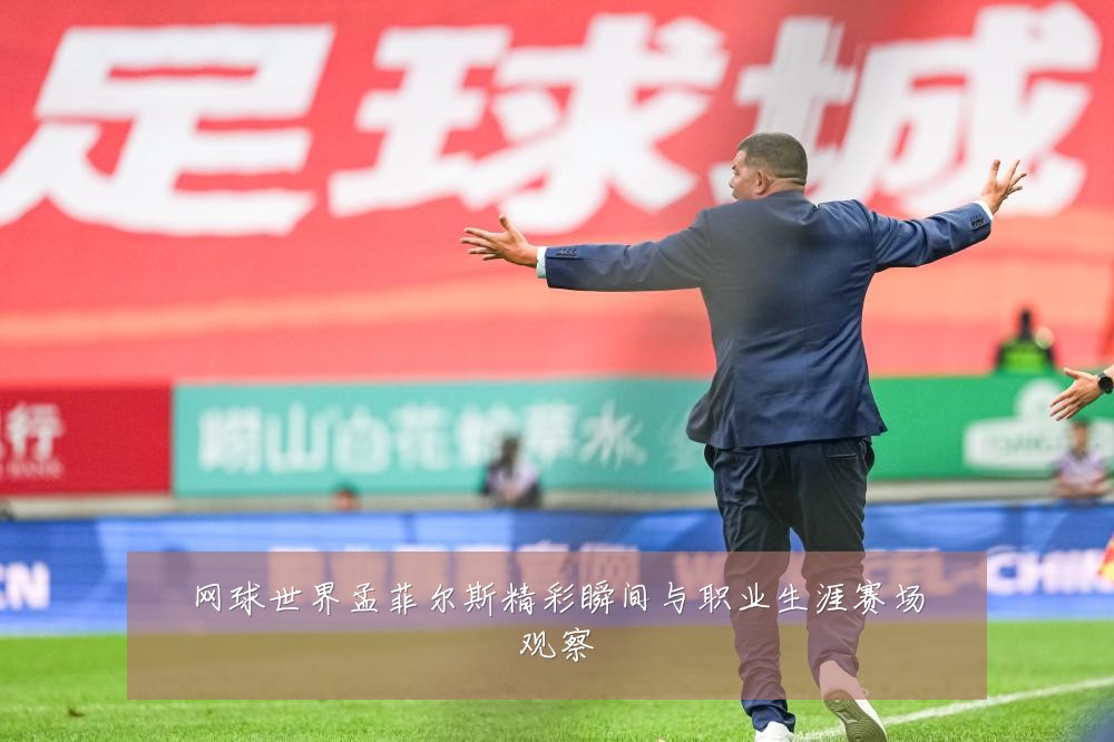 网球世界孟菲尔斯精彩瞬间与职业生涯赛场观察