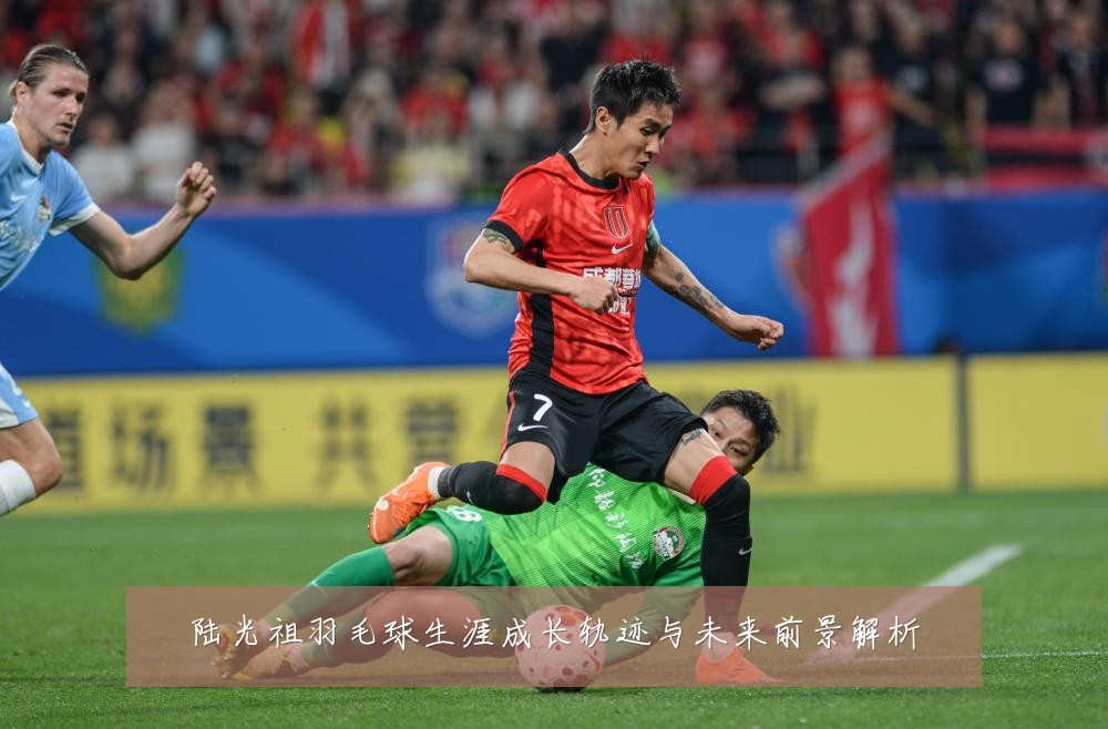 陆光祖羽毛球生涯成长轨迹与未来前景解析